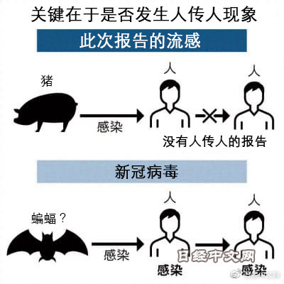 全国最新猪流感概况及其影响分析